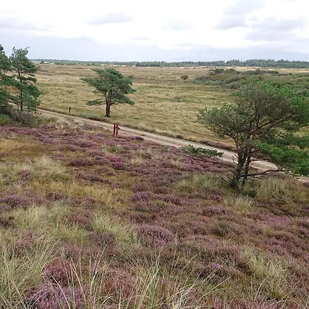 Lejlighed 2 Person In Strand-by Traum *