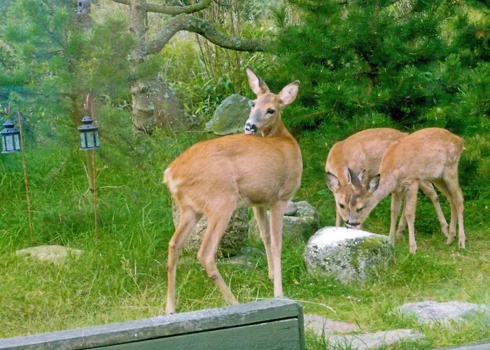 Lejlighed 2 Person In Strand-by Traum