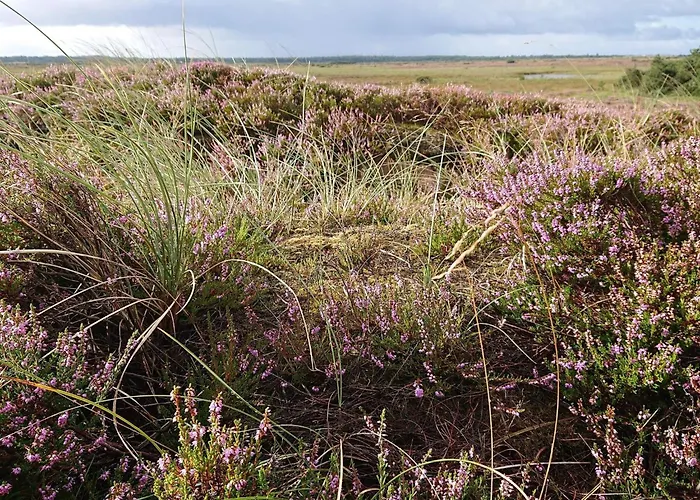 2 Person In Strand-by Traum *