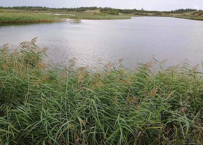 Lejlighed 2 Person In Strand-by Traum *