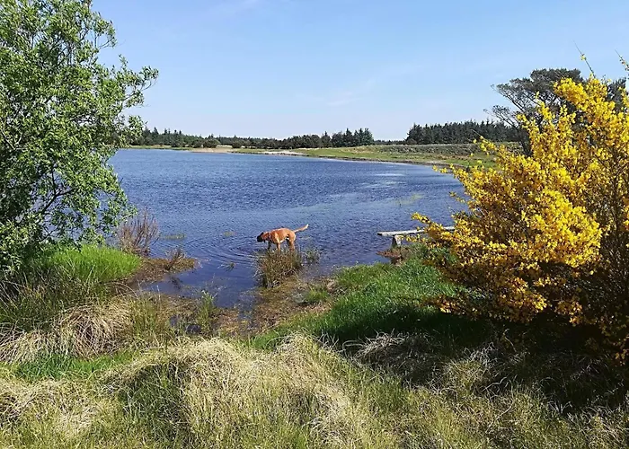 Apartamento 2 Person In Strand-by Traum